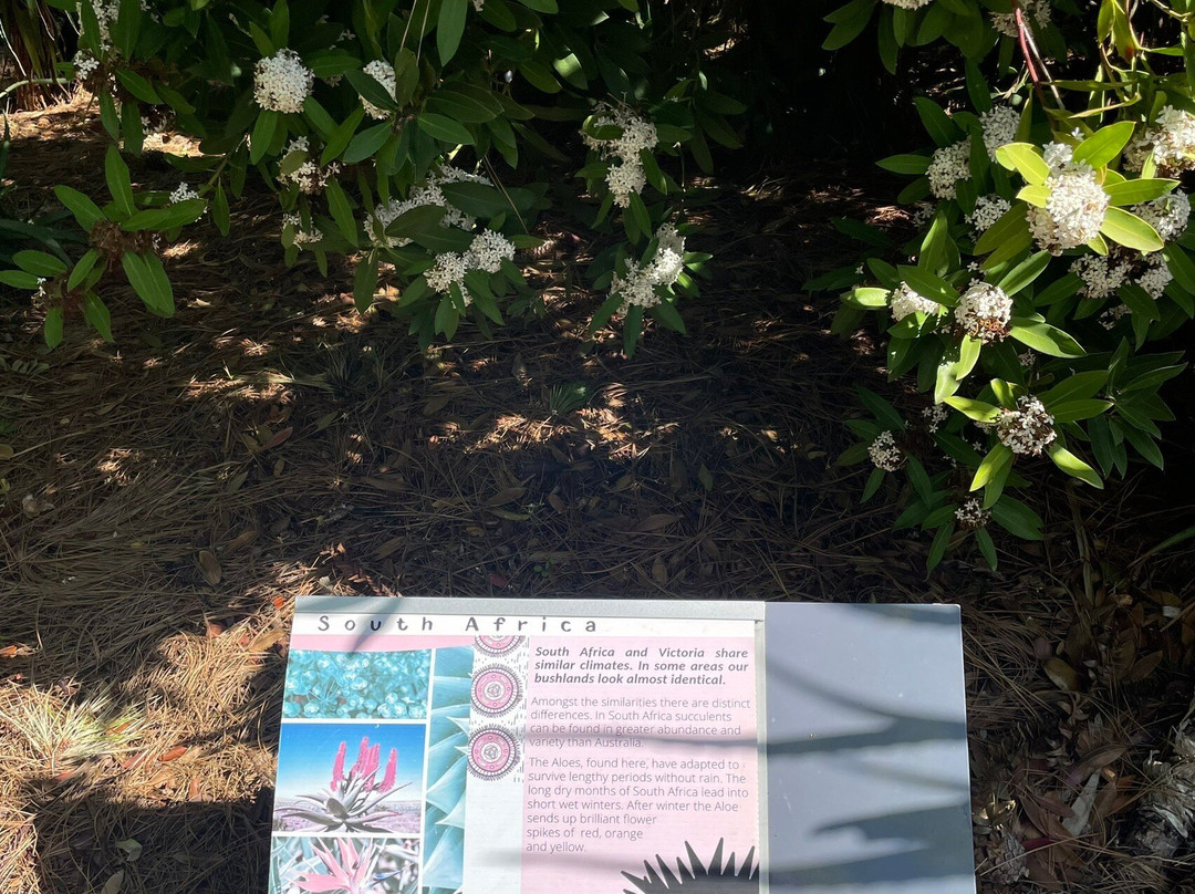 吉朗植物园-季隆必去景点