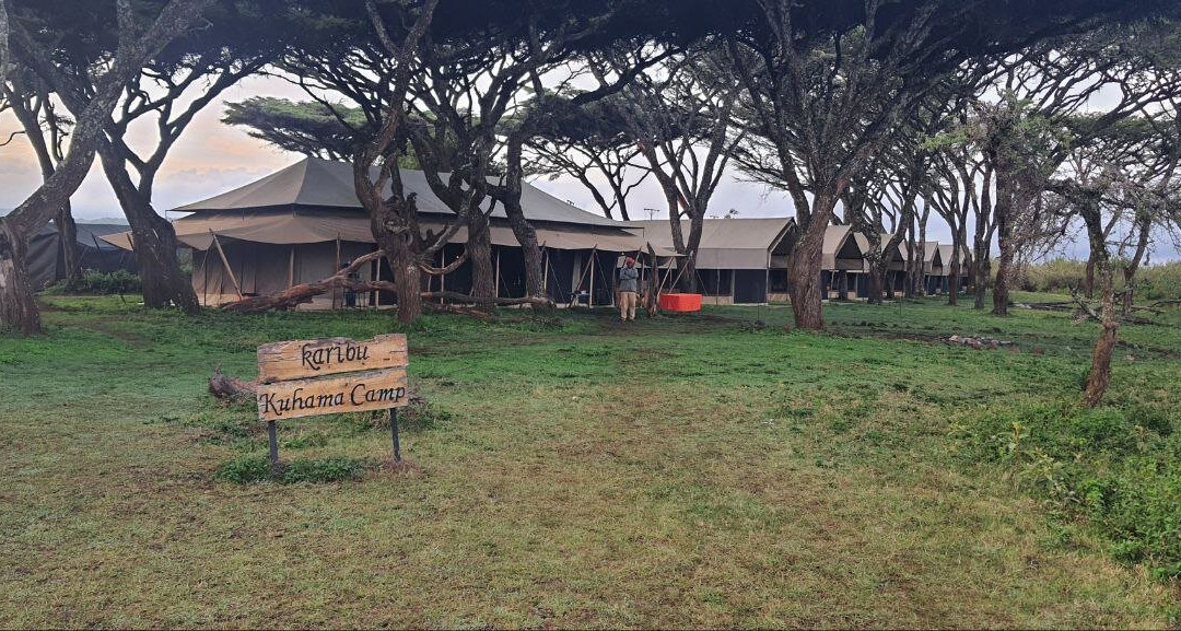 Ngorongoro Kuhama Camp by TNS Hospitality