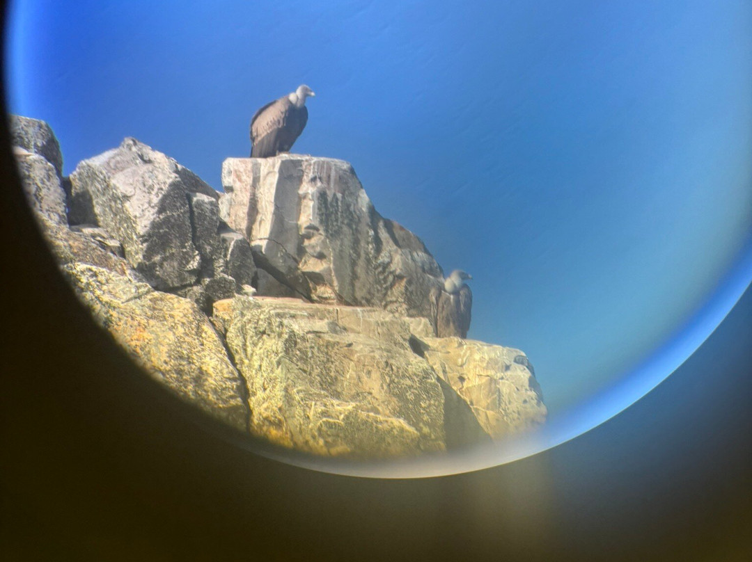 Monfrague Natural Ecoturismo景点图片