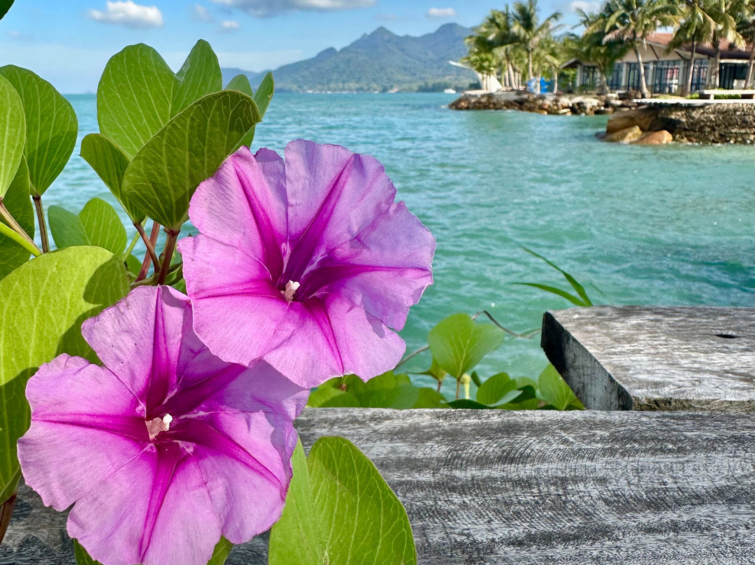 The Retreat, Koh Chang主图