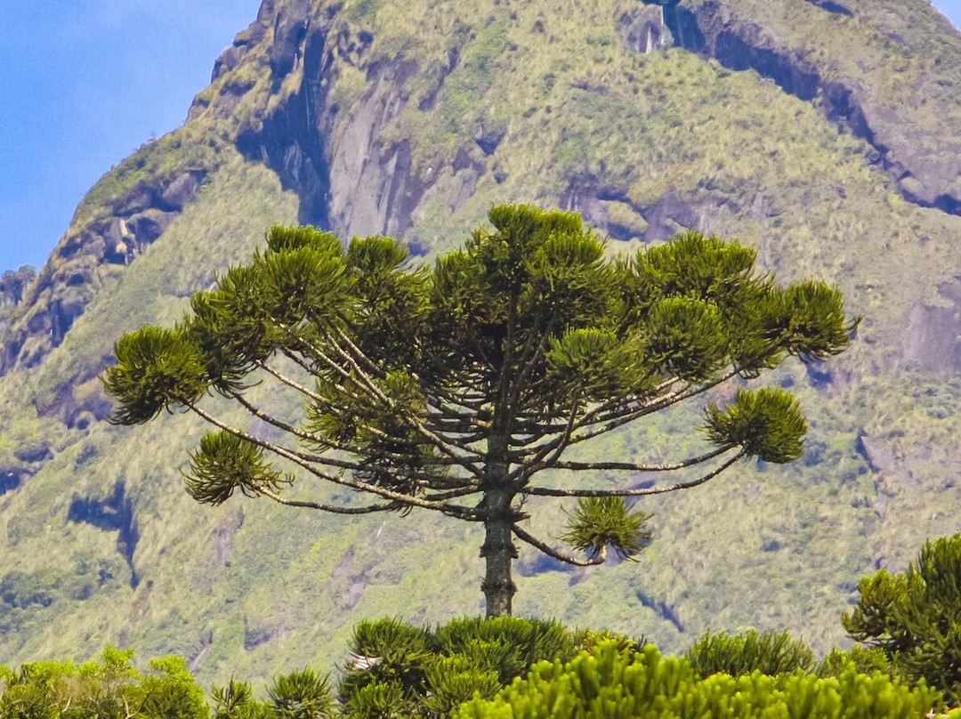Zé Ferreira Tour-Areias必去景点