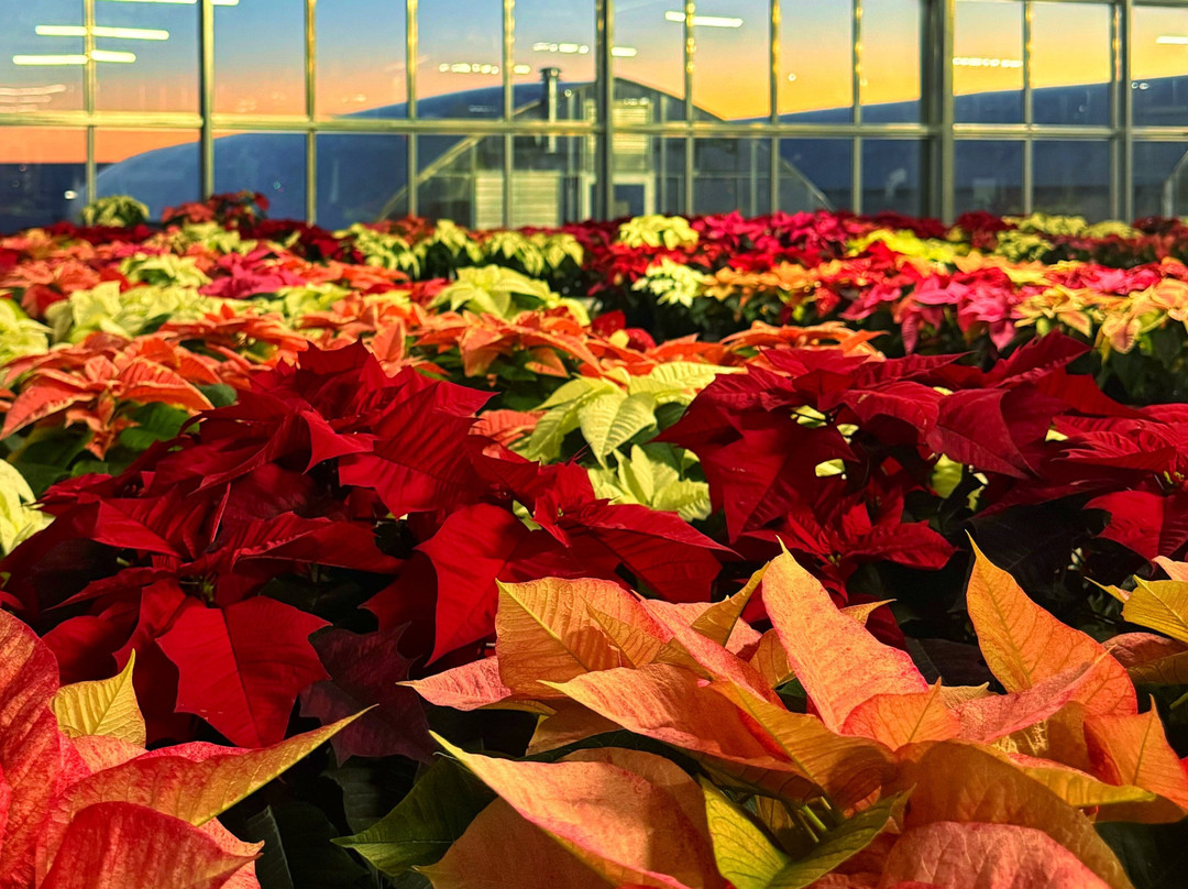 Ebert's Greenhouse Village-Ixonia必去景点