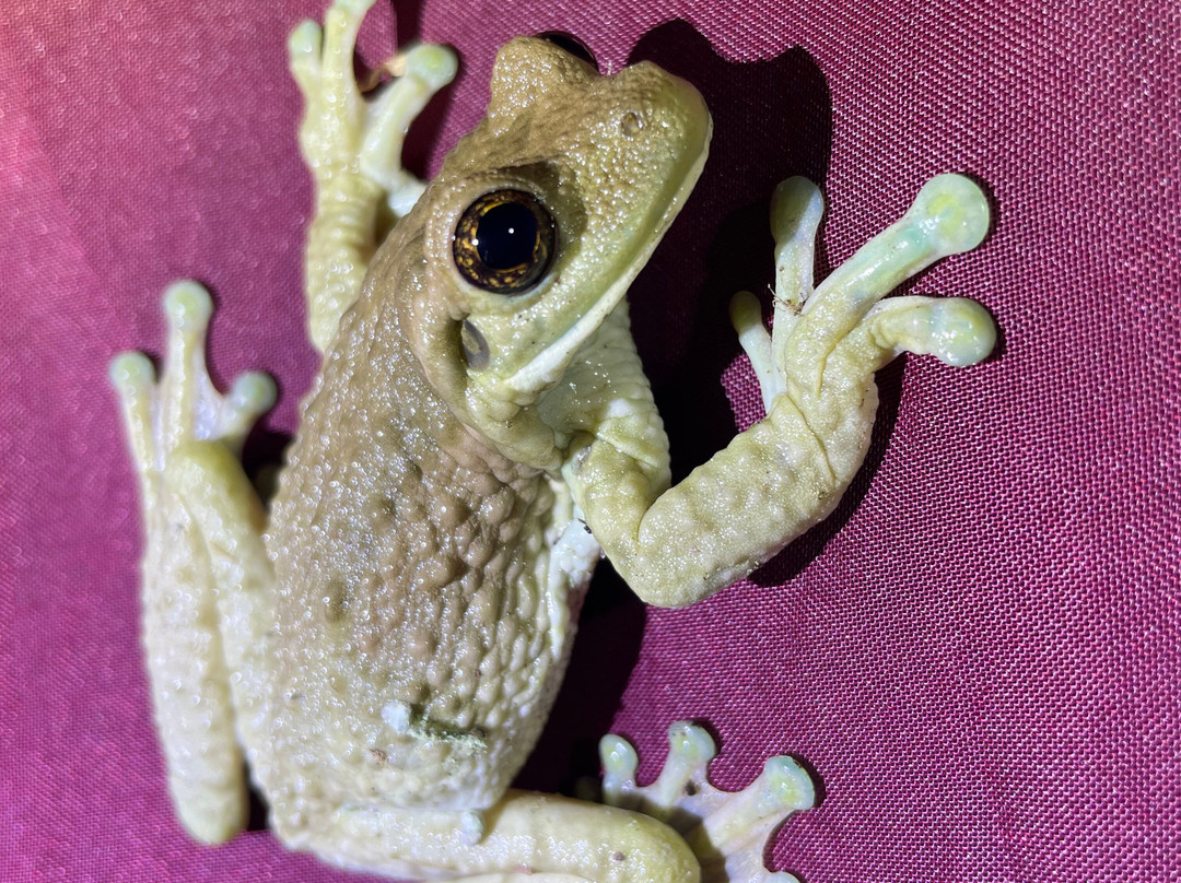 Tierra Madre Eco Lodge主图