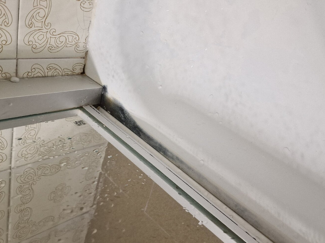 Hotel Sylvanerhof主图