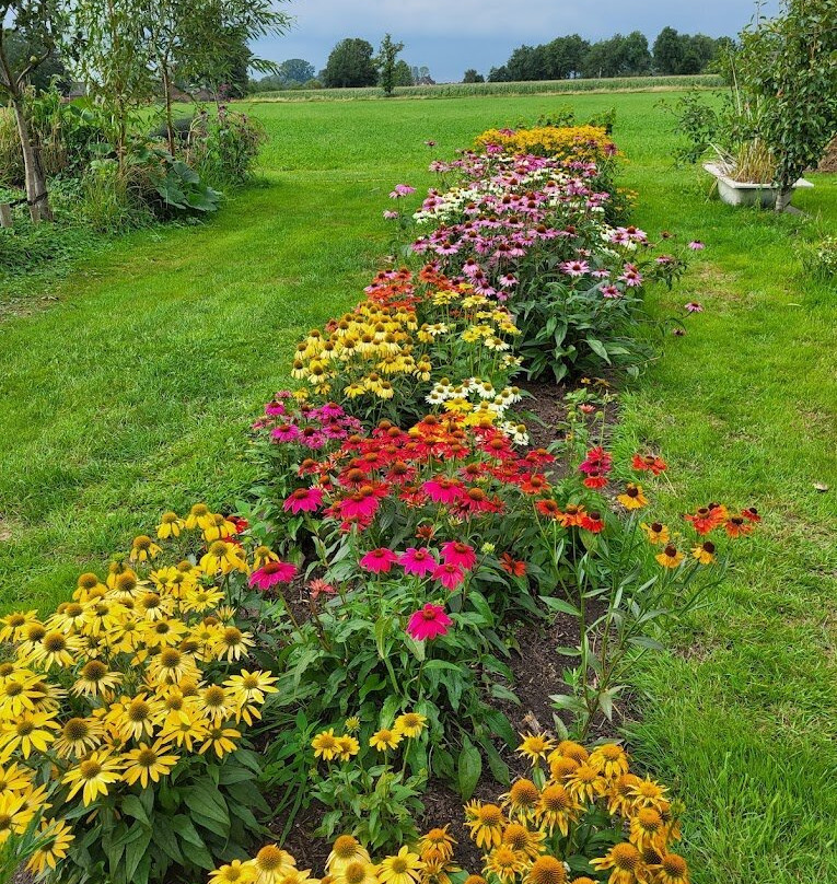 Pluktuin Dijkerhoek
