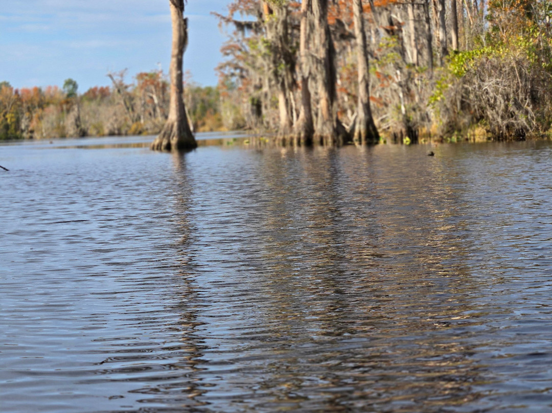 Stephen Foster Folk Culture Center State Park-White Springs必去景点