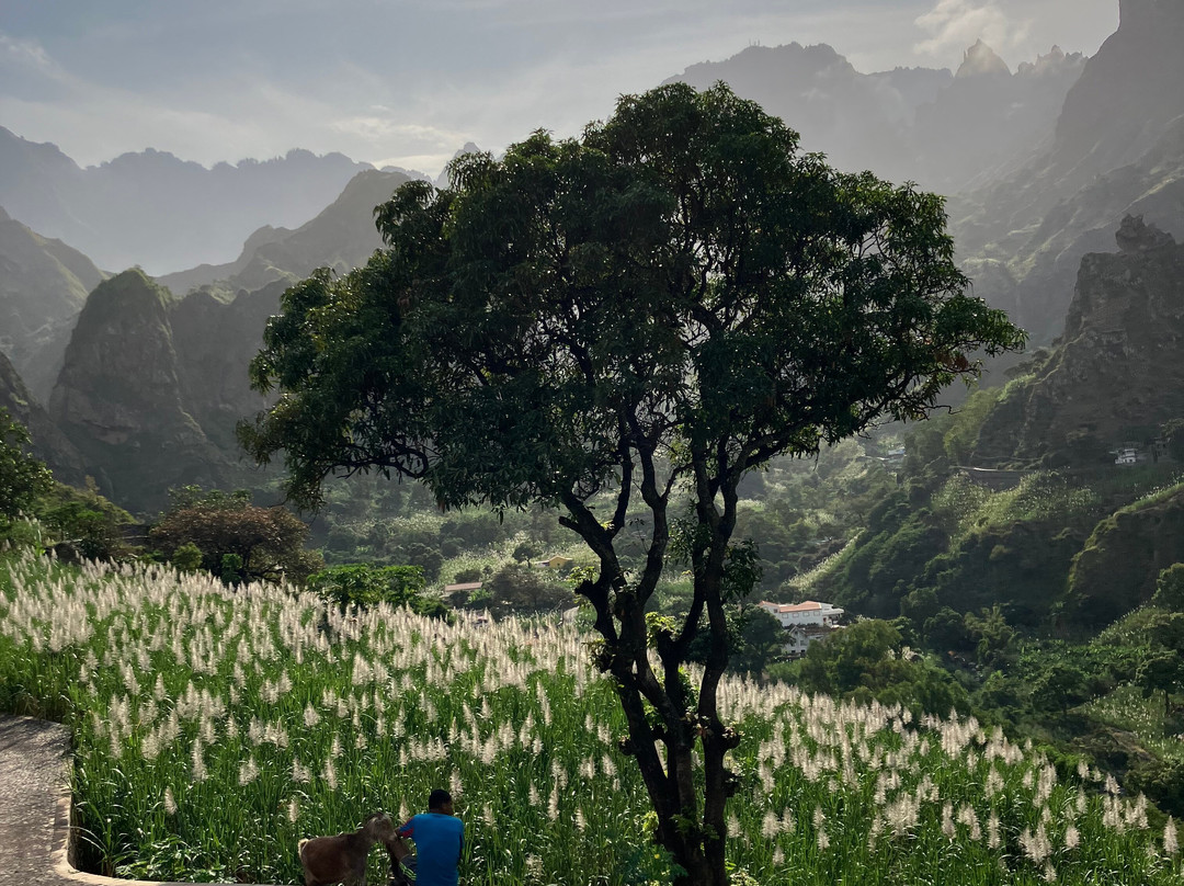 Casa das Ilhas主图