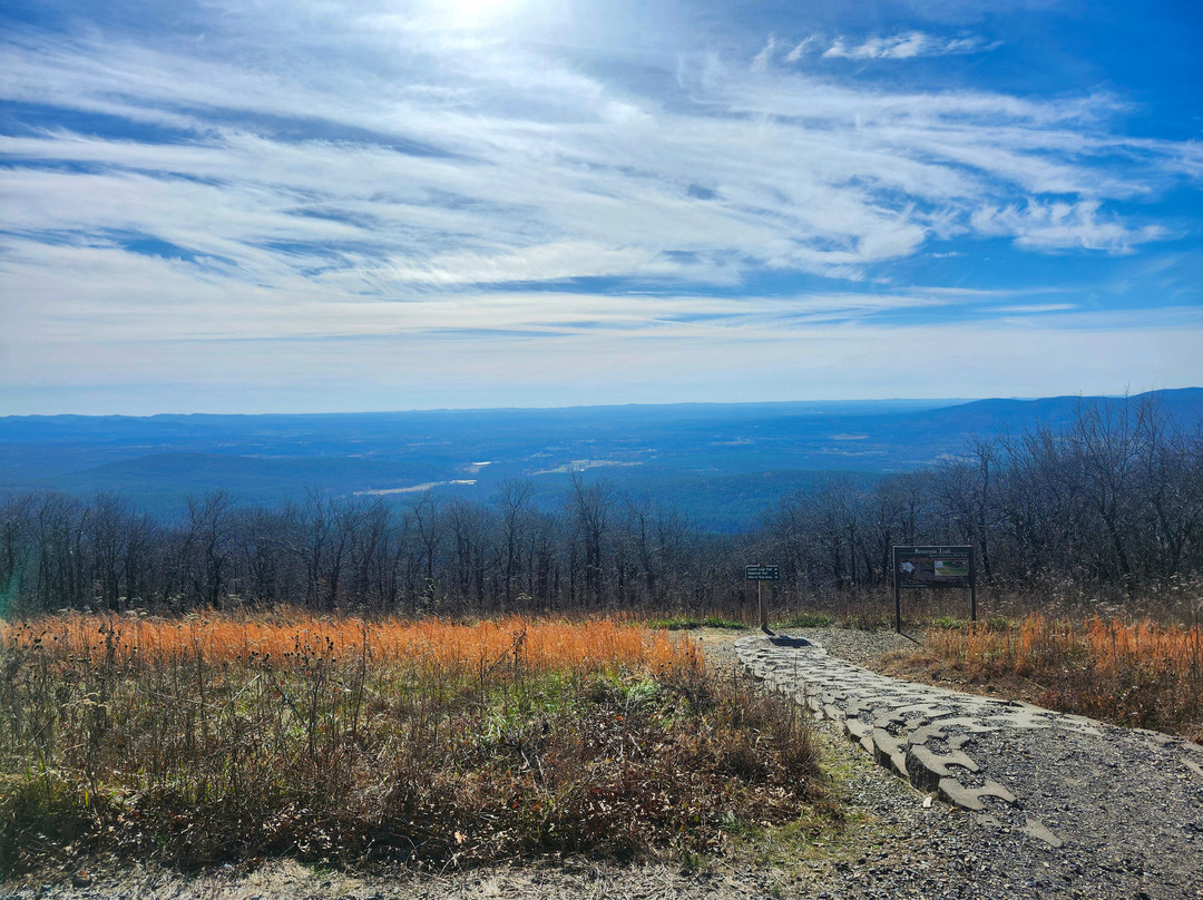 Queen Wilhelmina Lodge主图