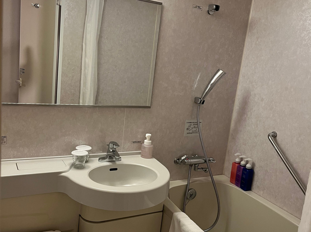 名古屋纳屋桥里士满酒店主图