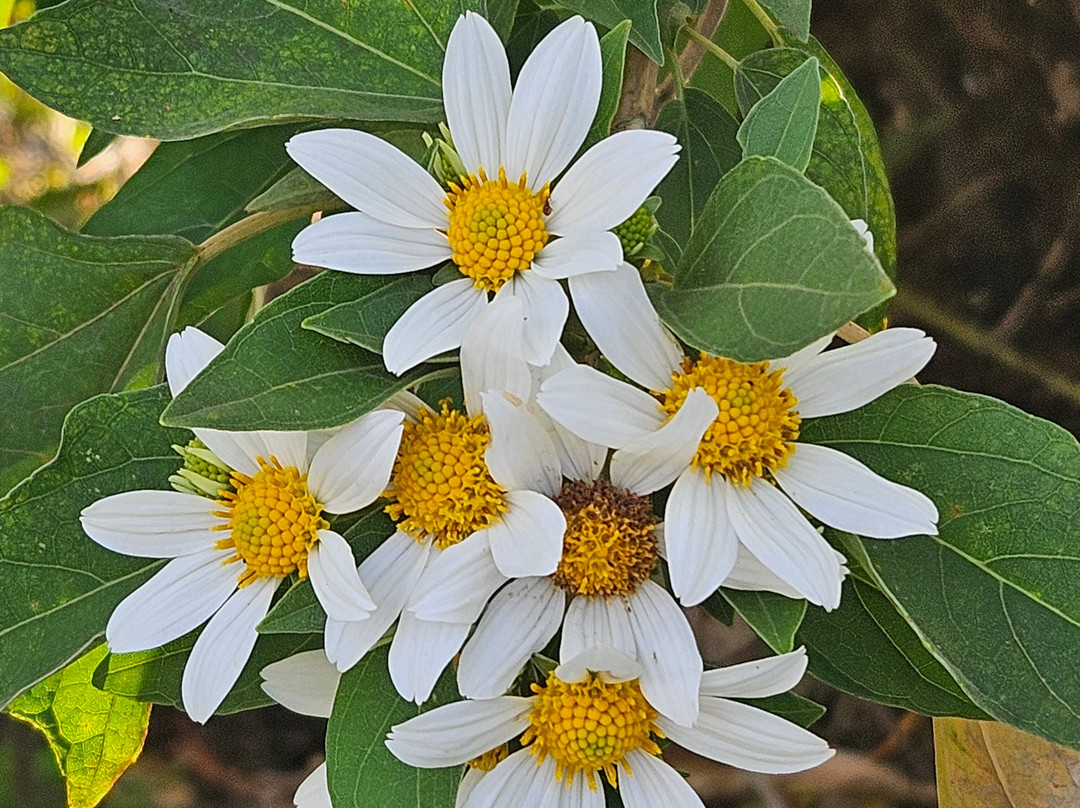 Aguti Monteverde - Wildlife Reserve-圣埃伦娜必去景点