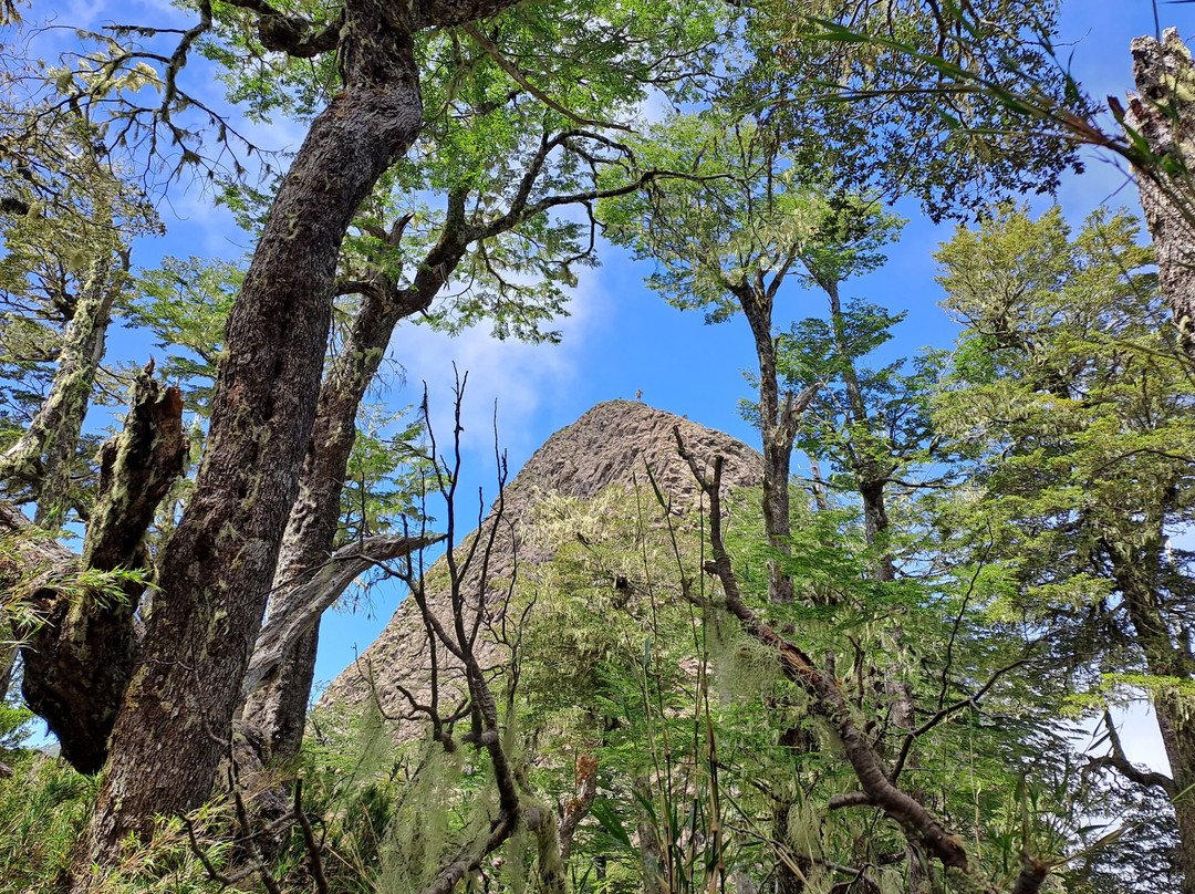 Parque Pico Toribio-Futrono必去景点