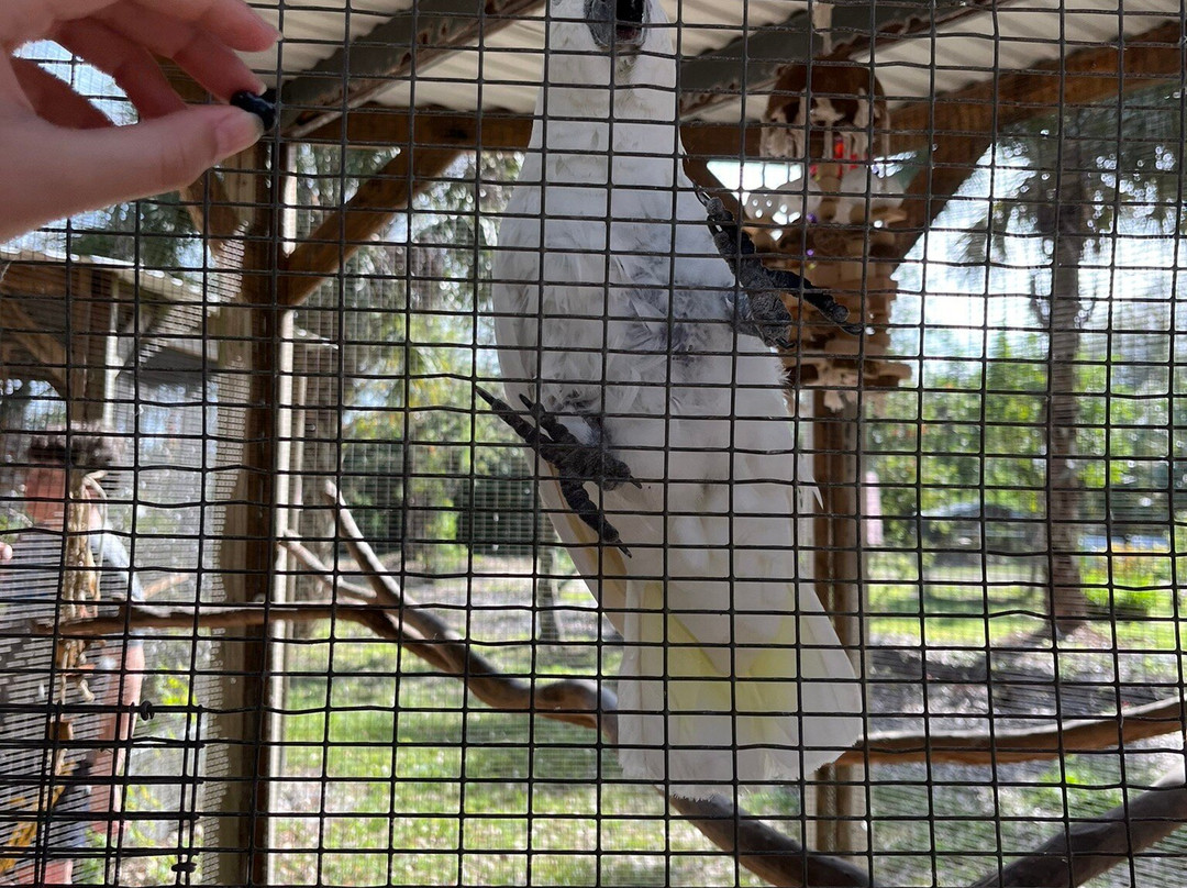 Bird Gardens of Naples-那不勒斯必去景点