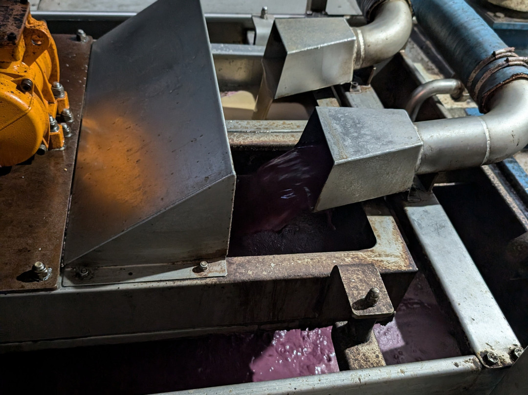 Markakis Olive Mill - Olive Oil-Chani Alexandrou必去景点