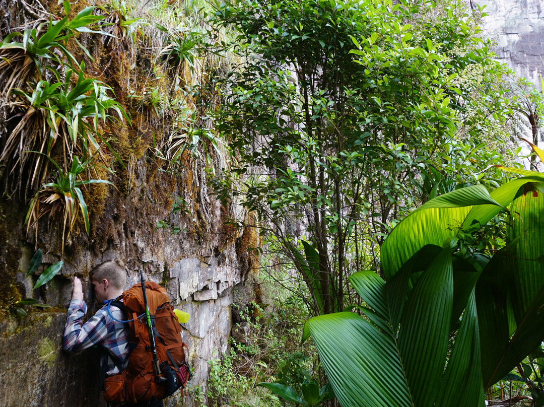 Planeta Roraima Tours景点图片