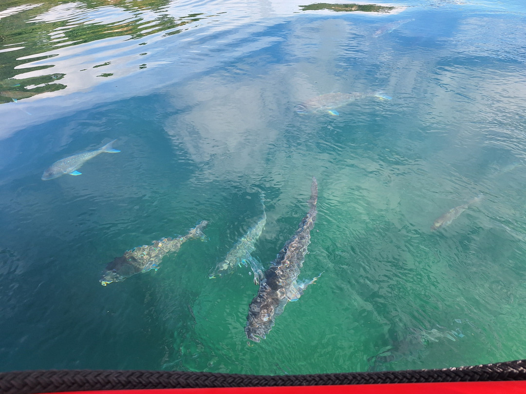 Cathedral Cove Scenic Cruises-菲蒂昂格必去景点