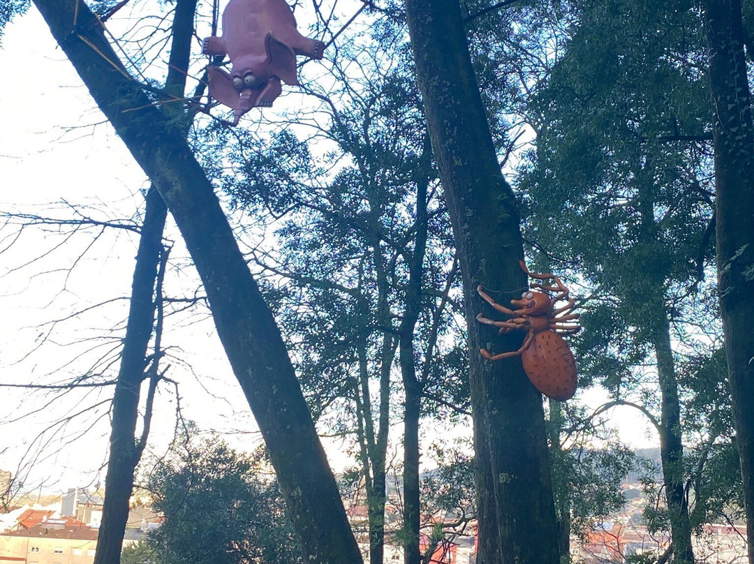 Parque dos Sentidos景点图片