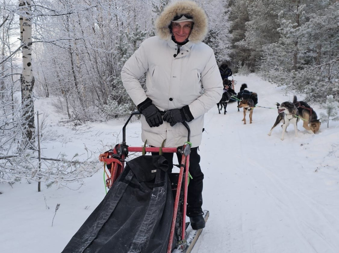 Nordic Lapland Husky Tours景点图片