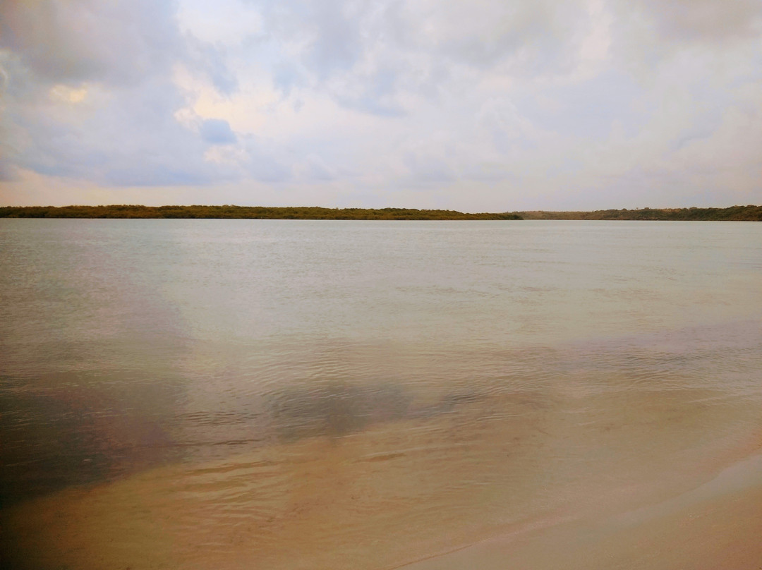 Acau Beach景点图片