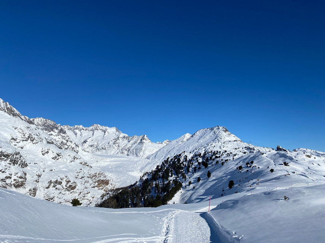 Aletsch Arena-Bettmeralp必去景点