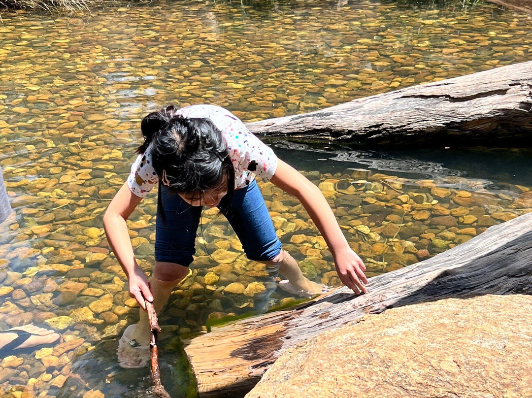 Rio Tinto Naturescape Kings Park-珀斯必去景点