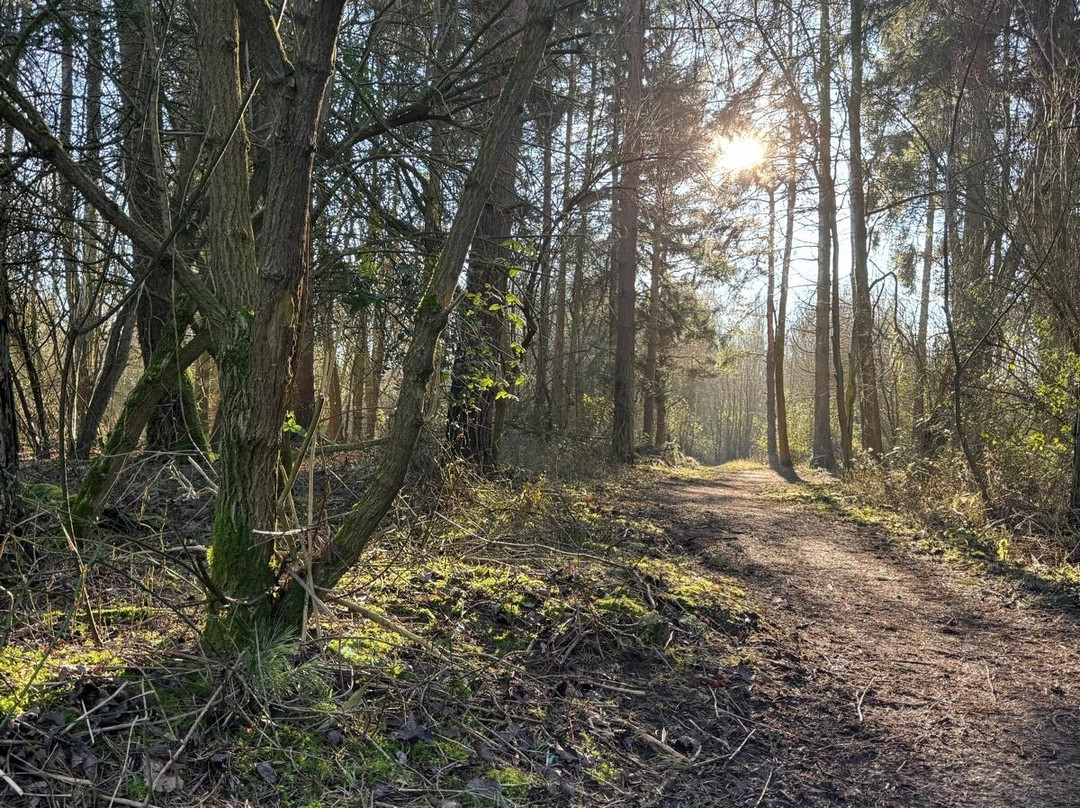 Ufton Fields Nature Reserve景点图片