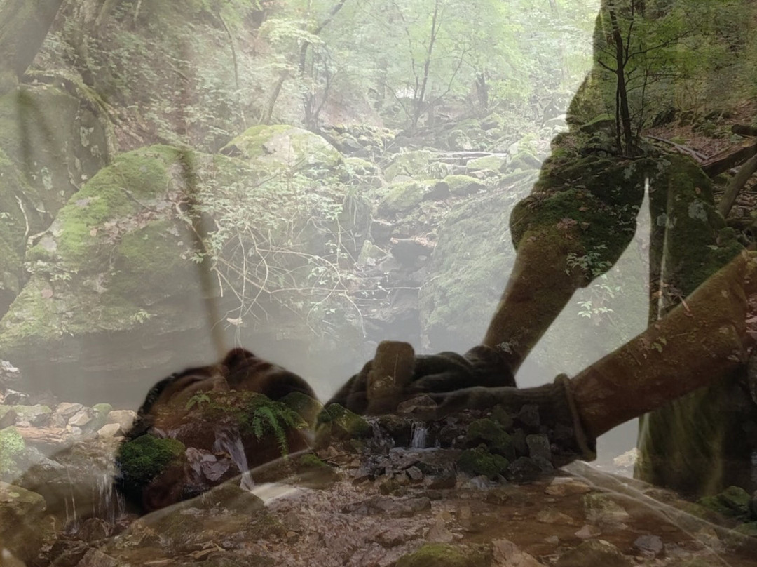 Awahi Nihohi-国分寺市必去景点