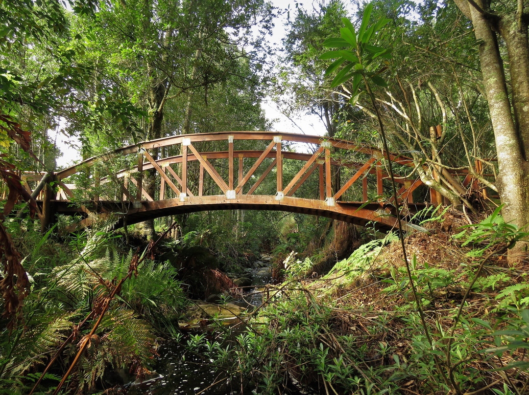 Garden Route Botanical Garden-乔治必去景点