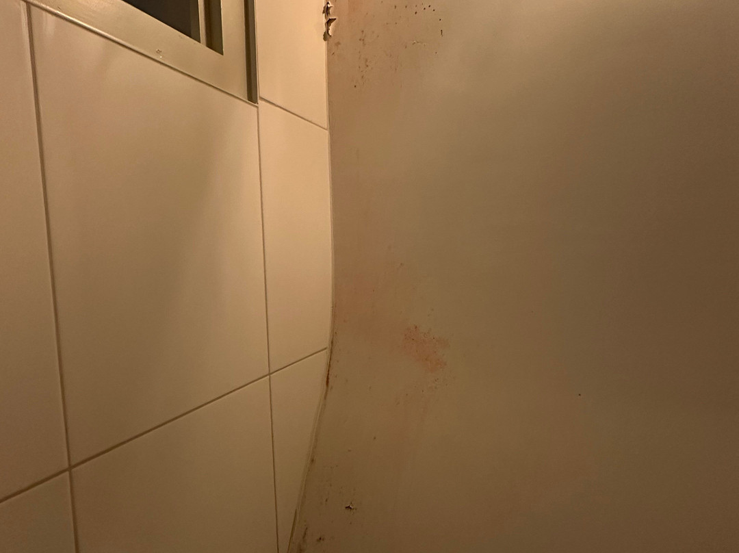 朱莉安娜酒店主图