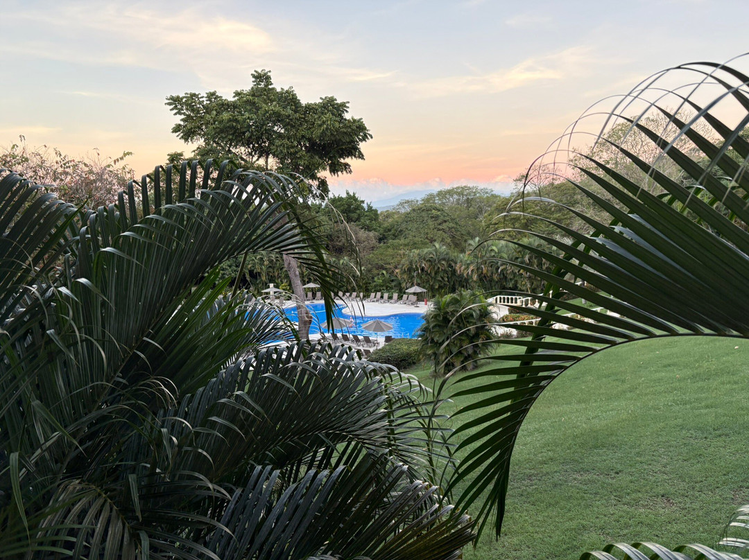 Lucy Kitcher Pickleball-格雷斯湾必去景点