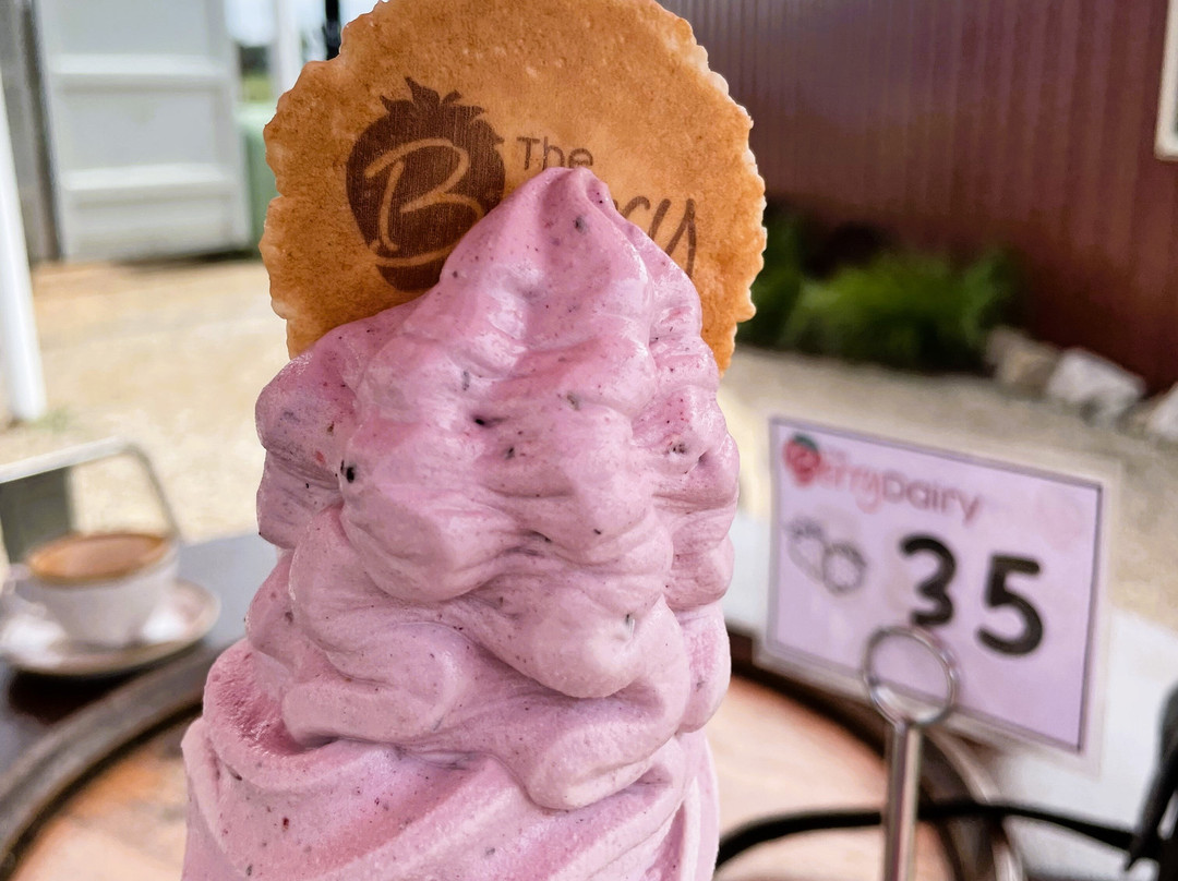 The Berry Dairy-Maffra必去景点