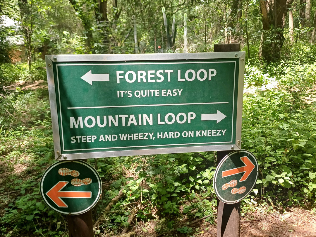 Rosemary Hill Accommodation主图