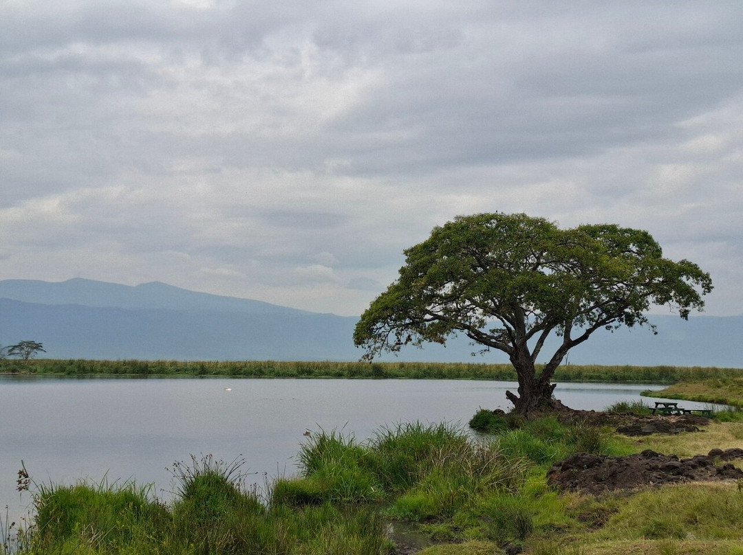 Emmy Safaris & Tours-Iringa必去景点