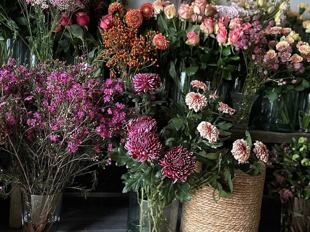 Ink And Earth Studio Florist Shop-切斯特菲尔德必去景点