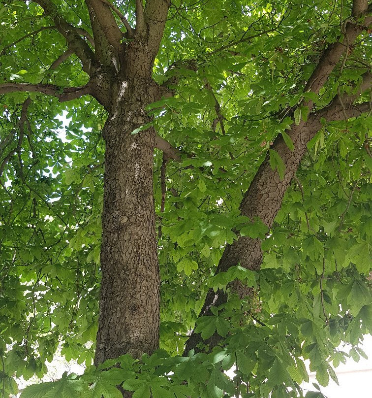 Gölbaşı Kent Parkı-Golbasi必去景点