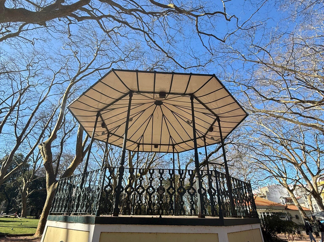 Parque Dom Carlos I景点图片