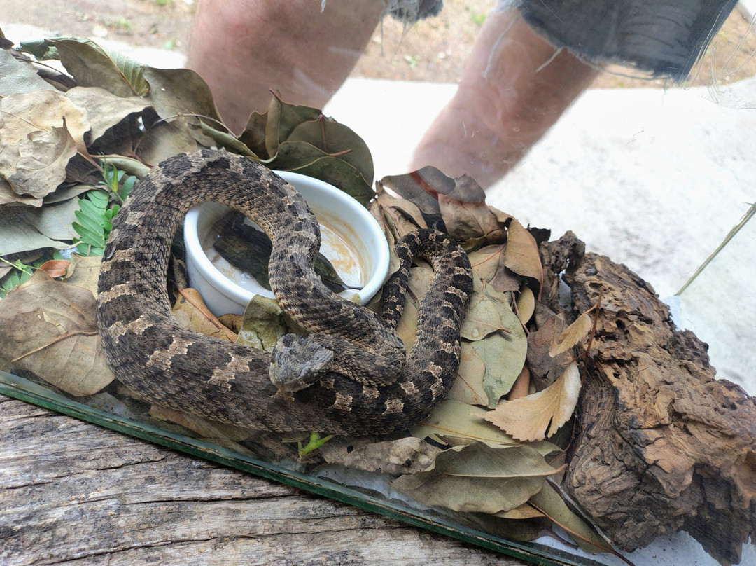 Eco de América-América必去景点