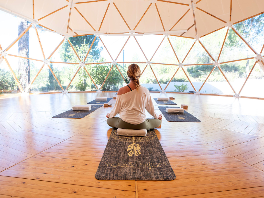 Masqi, The Energy House主图