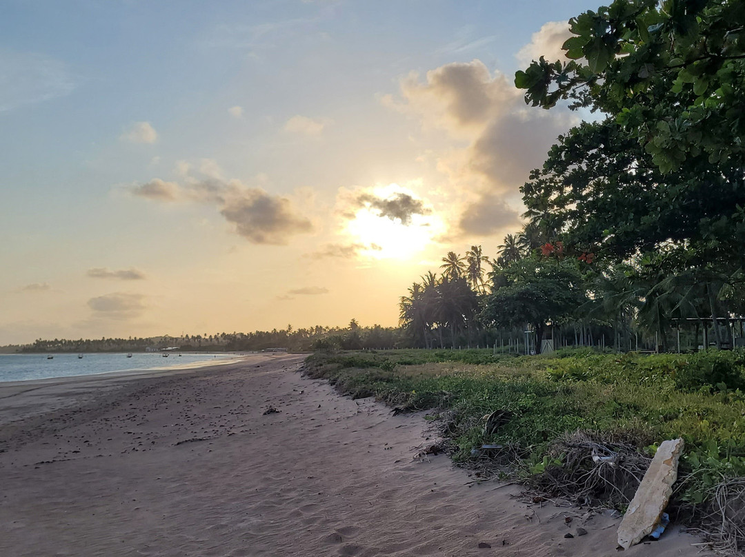 Pousada Riacho Dos Milagres主图