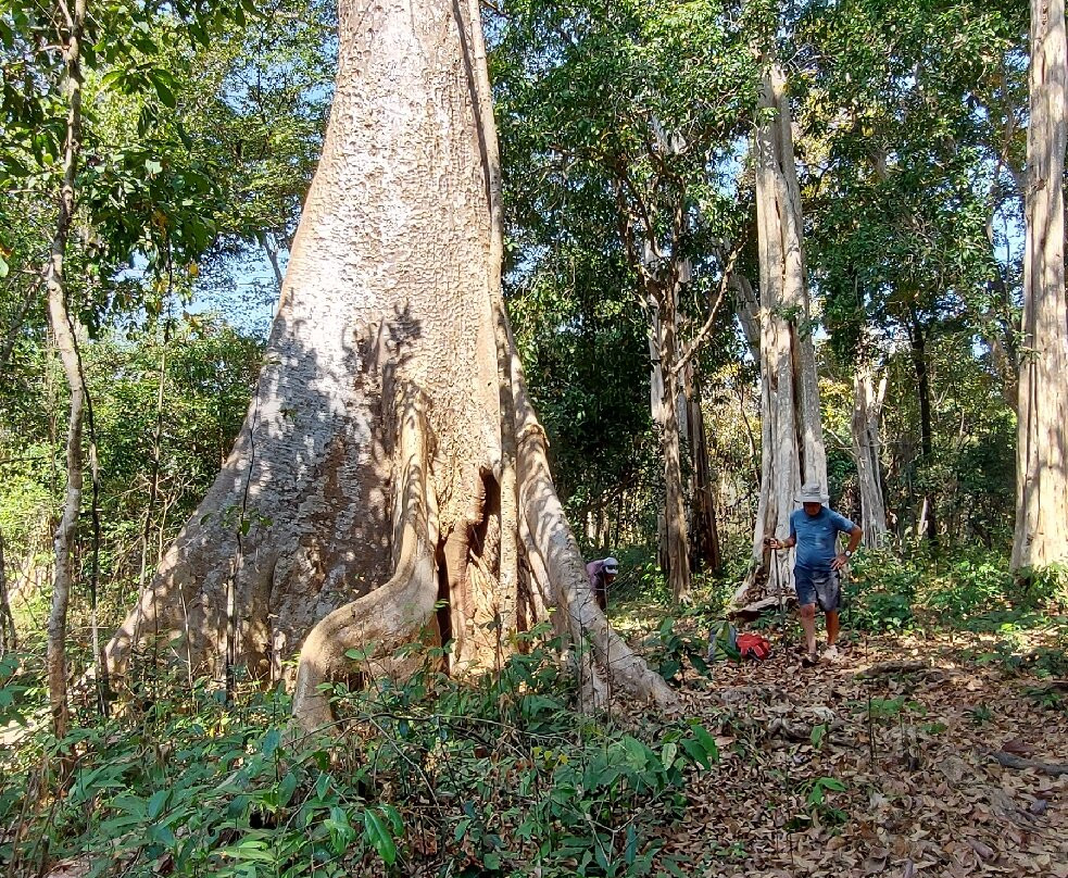 Mekong Ramsar Trail-Stung Treng必去景点
