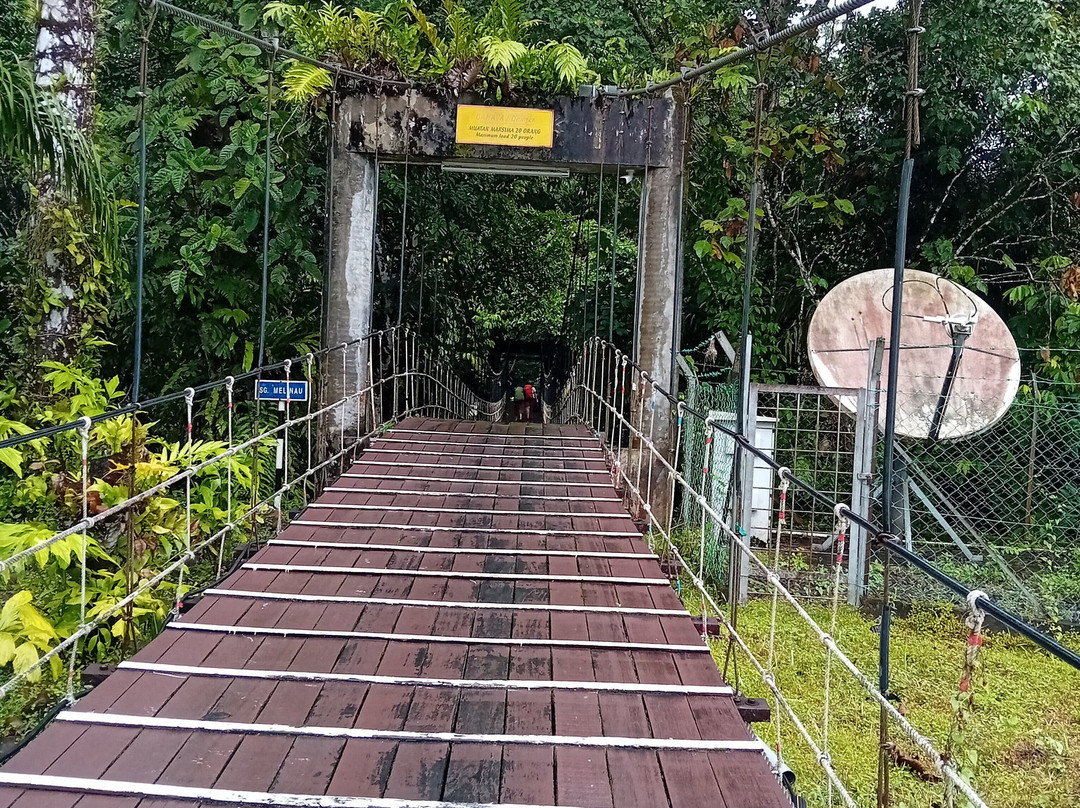 Mulu National Park主图