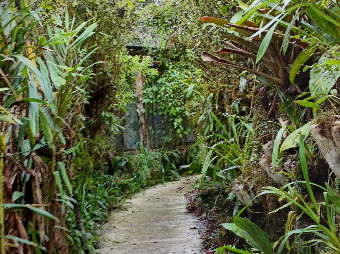 San Tadeo Birding-明多必去景点