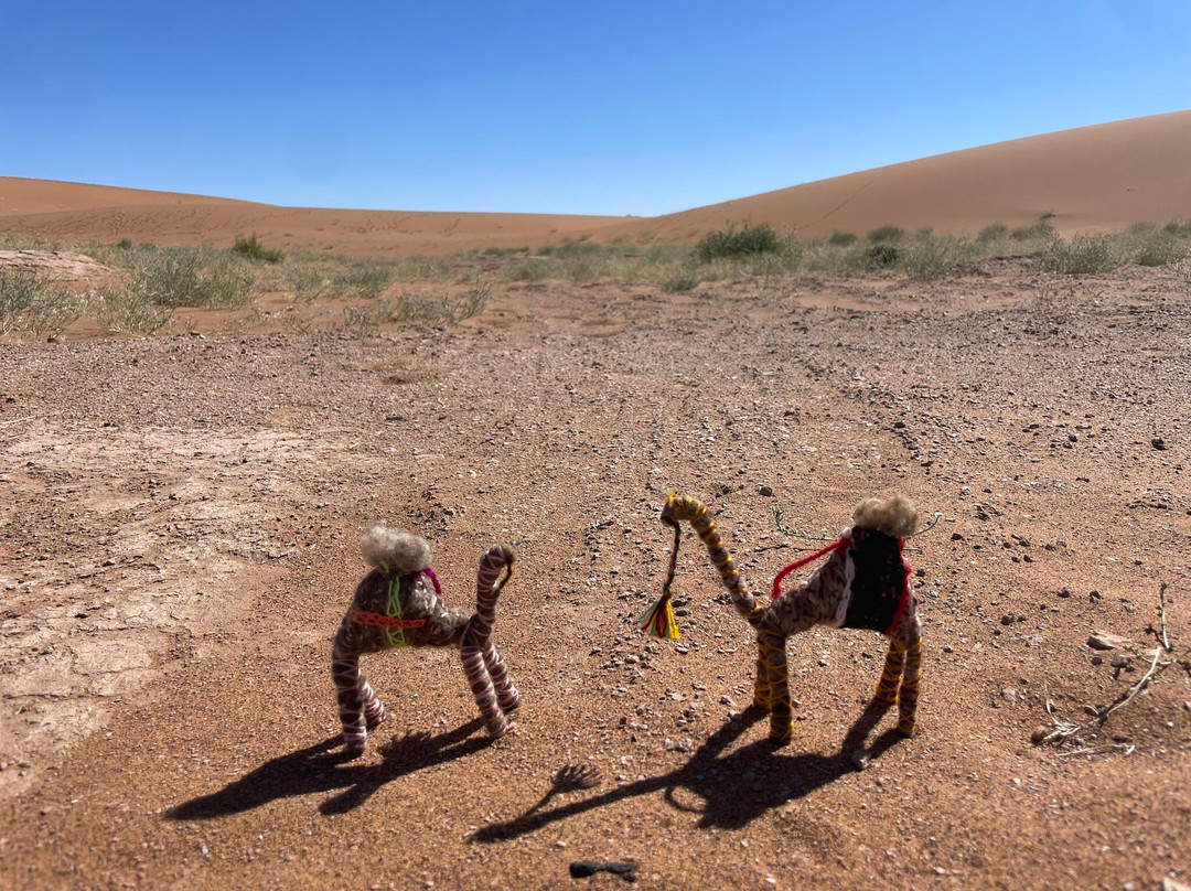 Amazing Journeys Morocco Day Tours-扎古拉必去景点