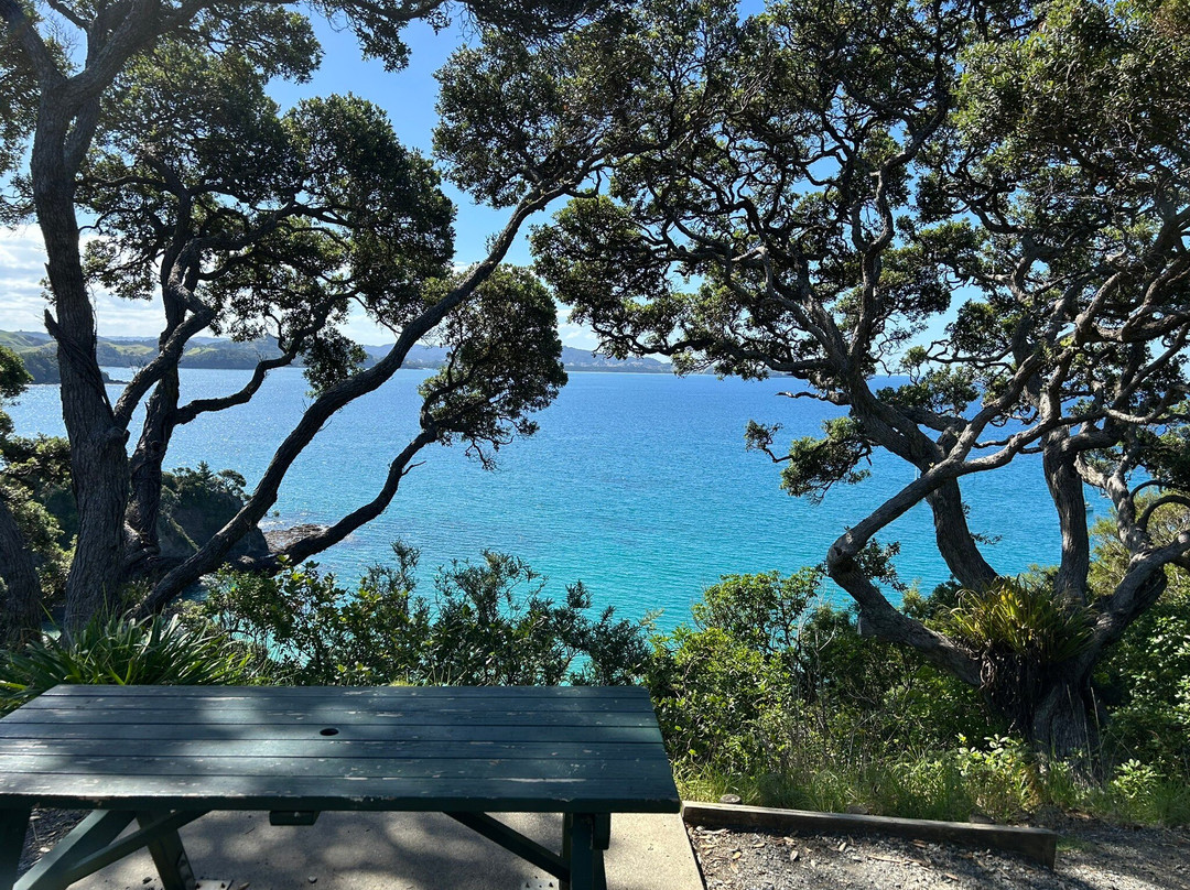 Matapouri Bay景点图片