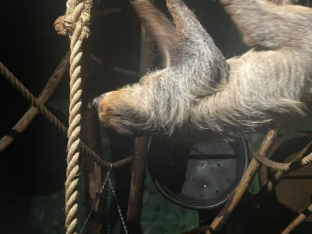 Amazon World Zoo Park-桑当必去景点