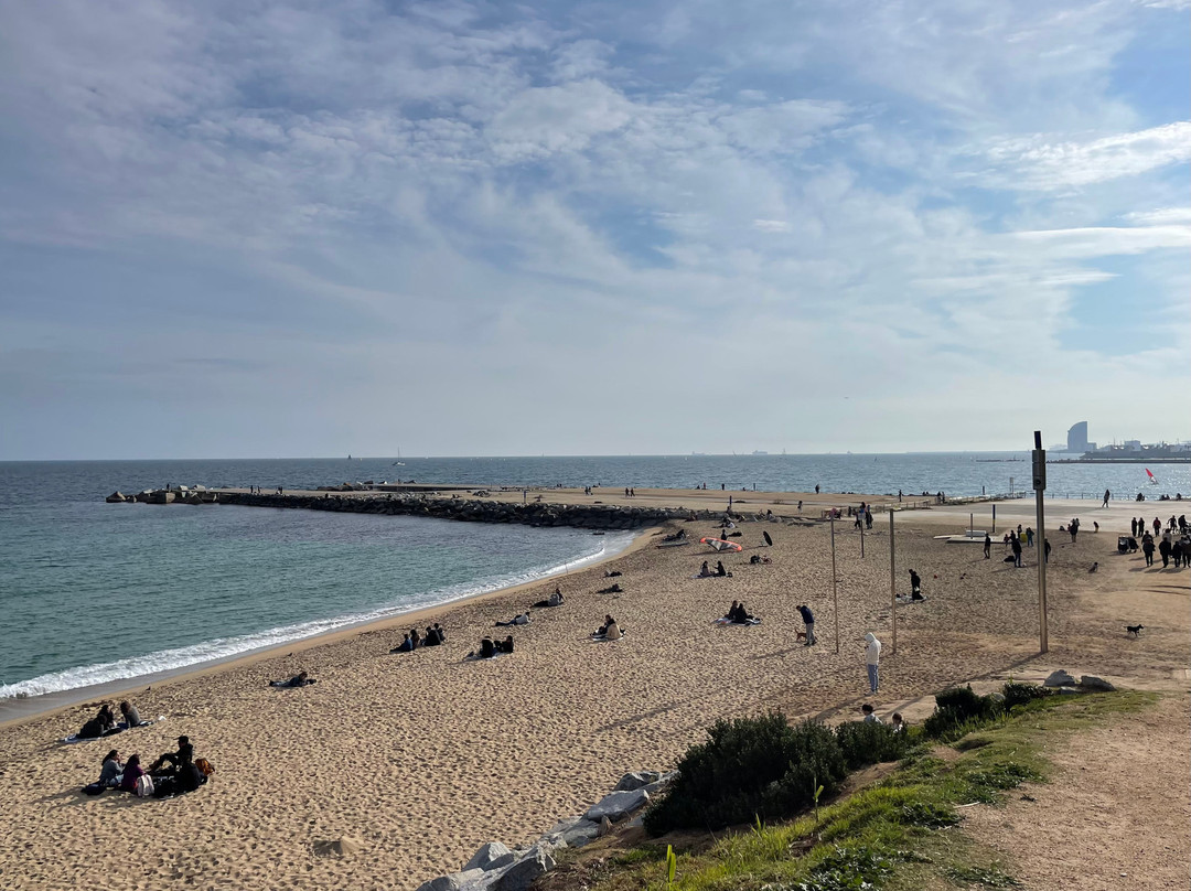 Platja De La Mar Bella-巴塞罗那必去景点