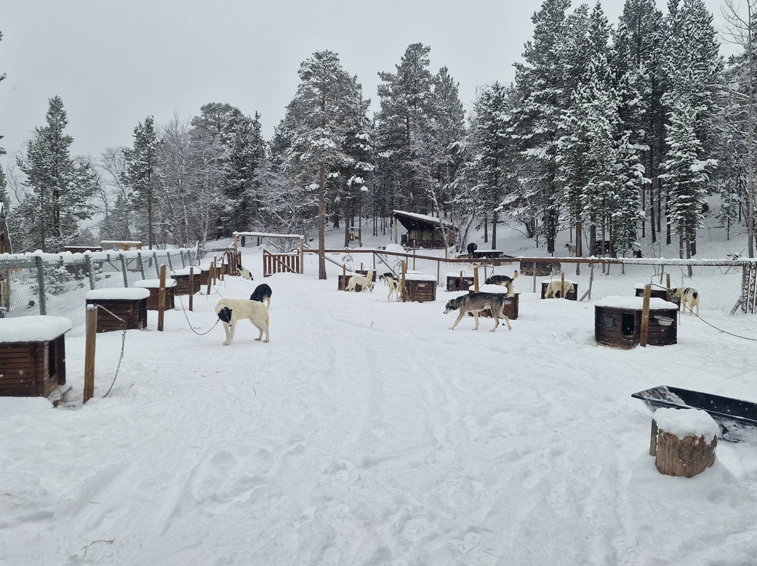 Gargia Husky The True North Experience-阿尔塔必去景点