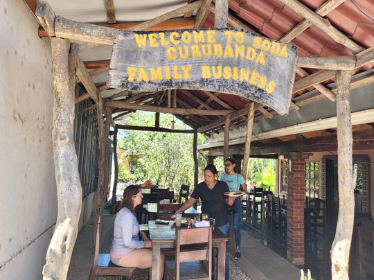 Blue Jay Experiences Travels & Fun