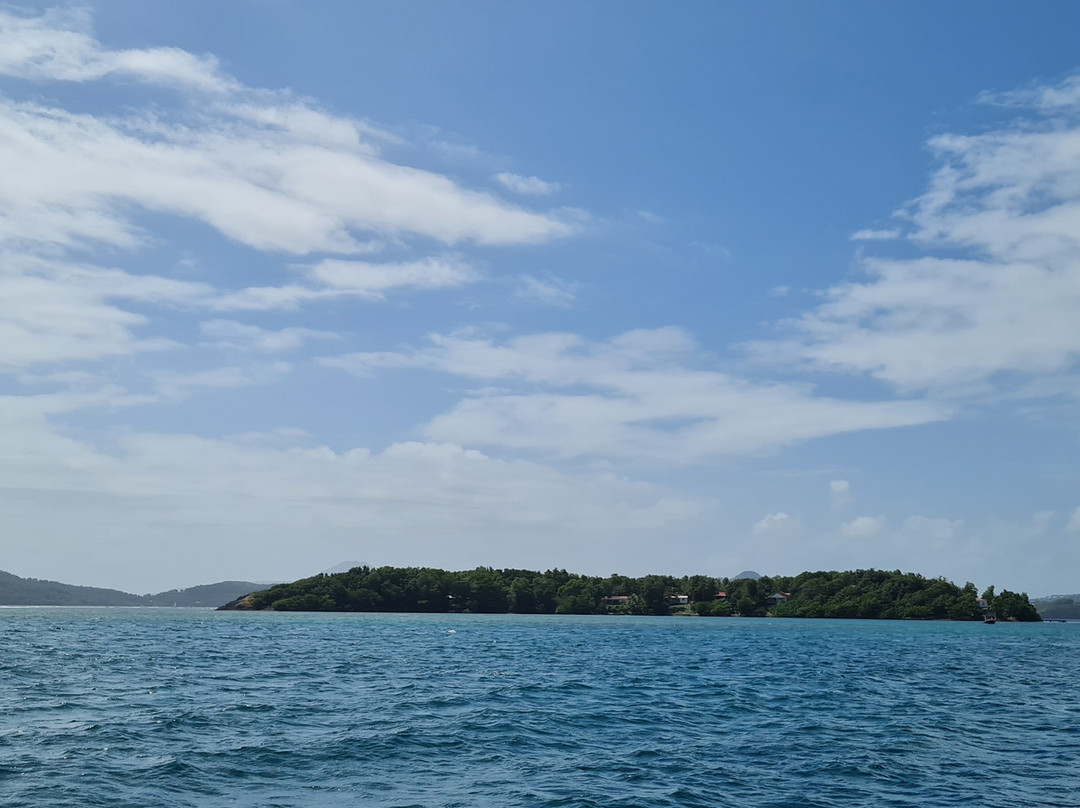 Capitaine Titi Balades en Mer-La Trinite必去景点