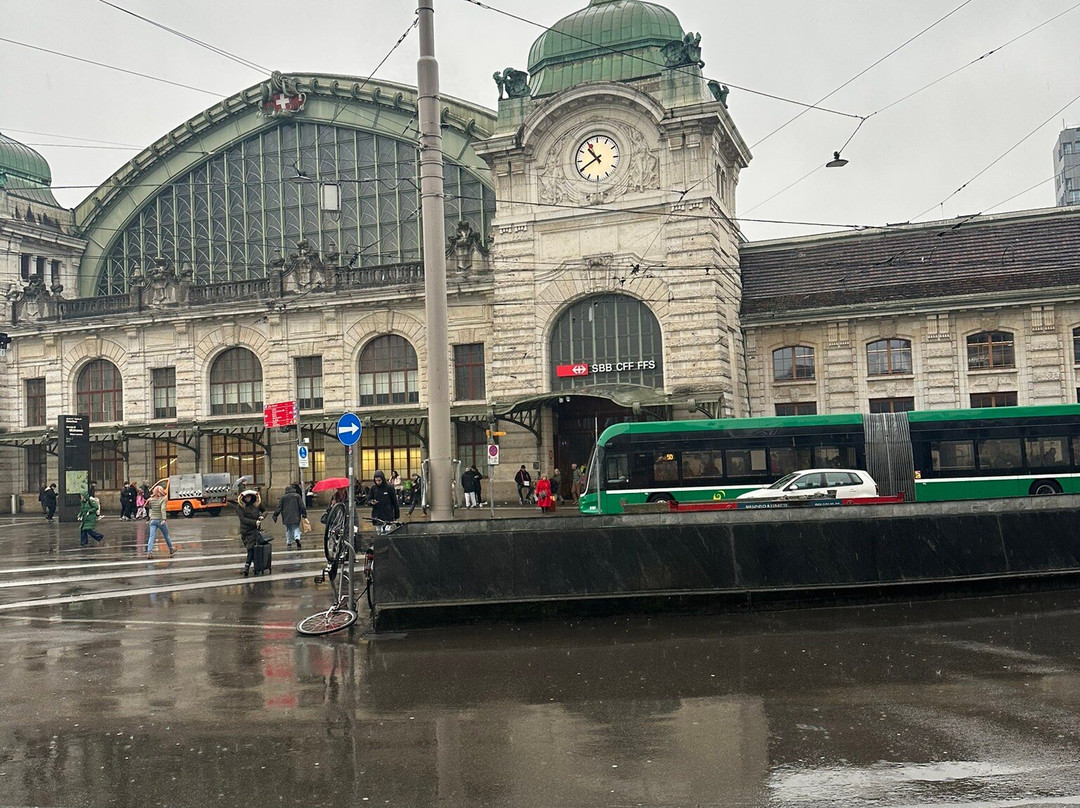 巴塞尔-普莱登宜必思快捷酒店主图