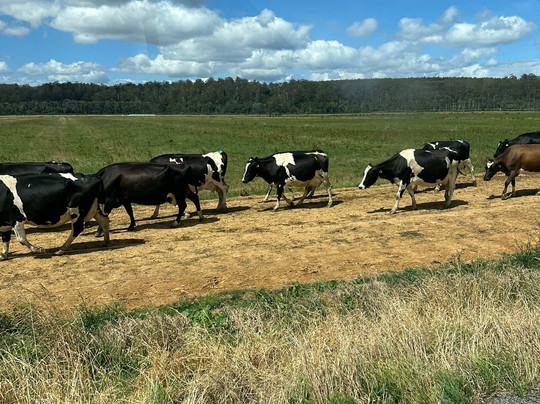 Smithton Visitor Information Centre-Smithton必去景点